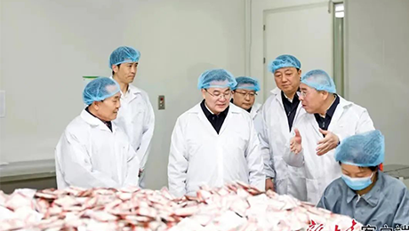 甘肃省委书记胡昌升莅临pp电子app官网健康集团佛仁制药考察调研